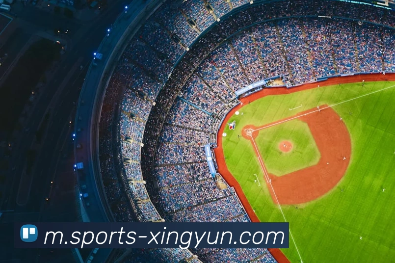 App Interface Preview